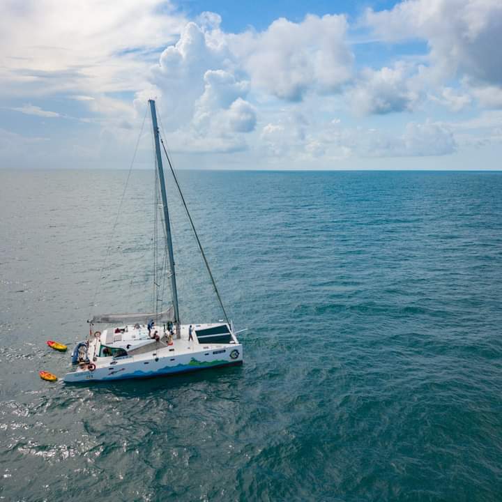 L'îlot du Grand Connétable et sa colonie d'oiseaux marins